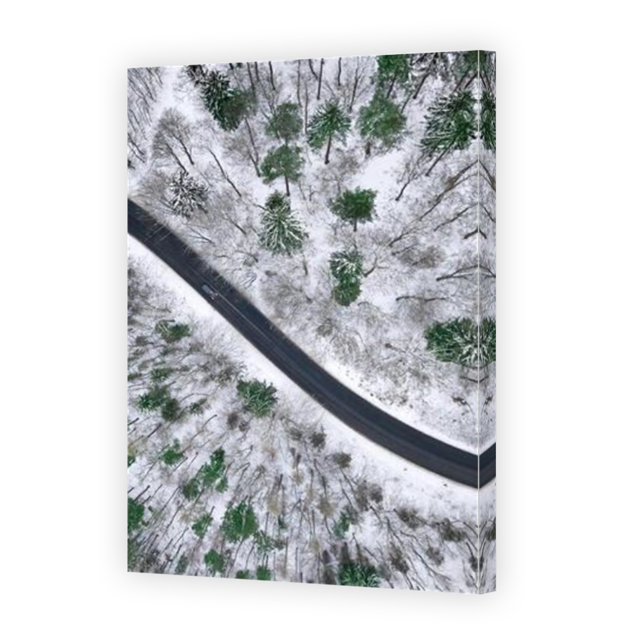 Thumbnail for Canvas - Mirror Image Canvas Wrap
