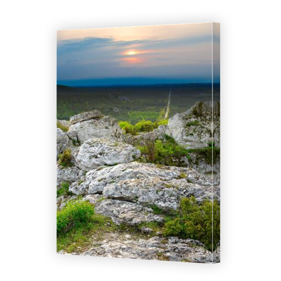 Thumbnail for Canvas - Mirror Image Canvas Wrap