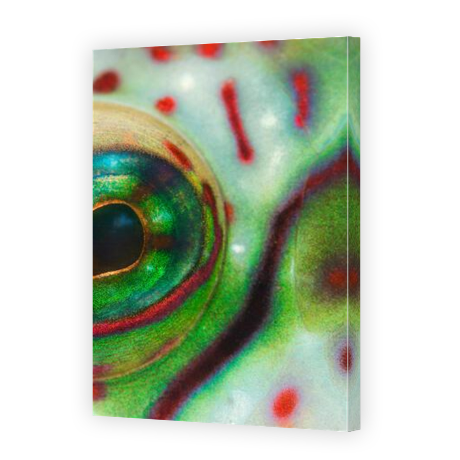 Thumbnail for Canvas - Mirror Image Canvas Wrap