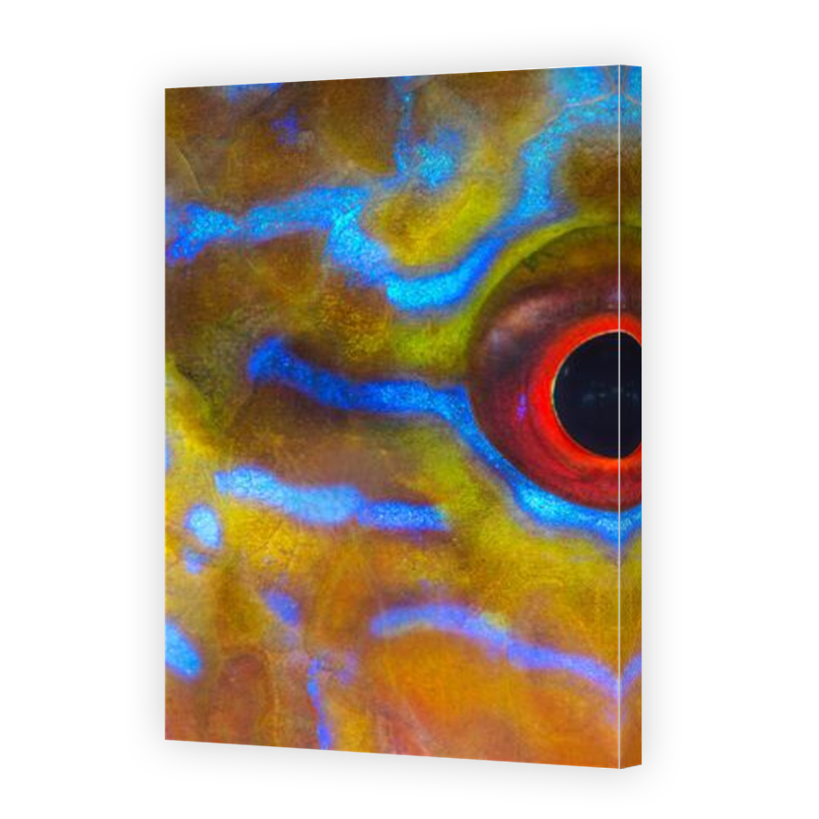 Thumbnail for Canvas - Mirror Image Canvas Wrap