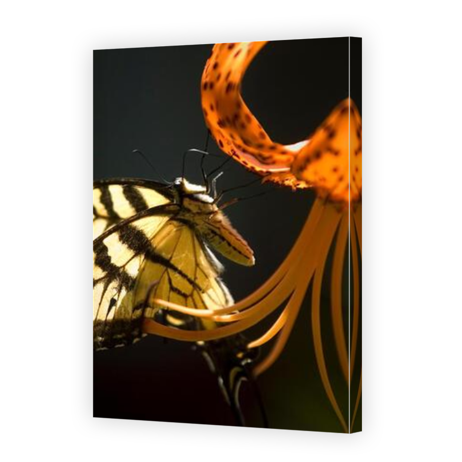 Thumbnail for Canvas - Mirror Image Canvas Wrap