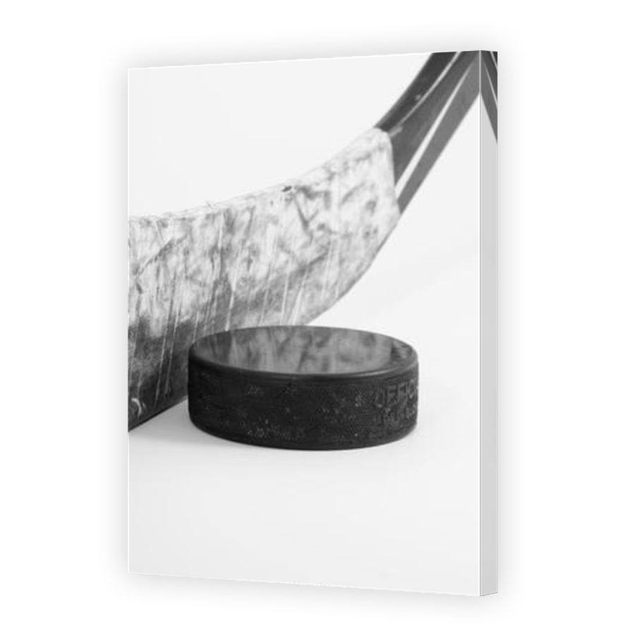 Thumbnail for Canvas - Mirror Image Canvas Wrap