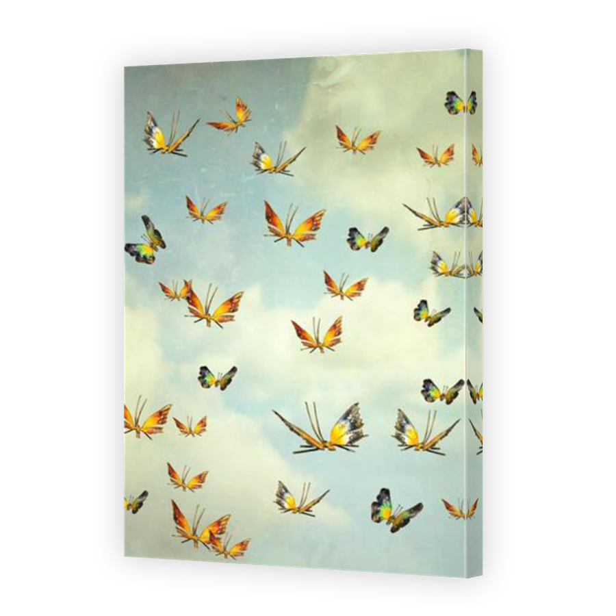 Thumbnail for Canvas - Mirror Image Canvas Wrap
