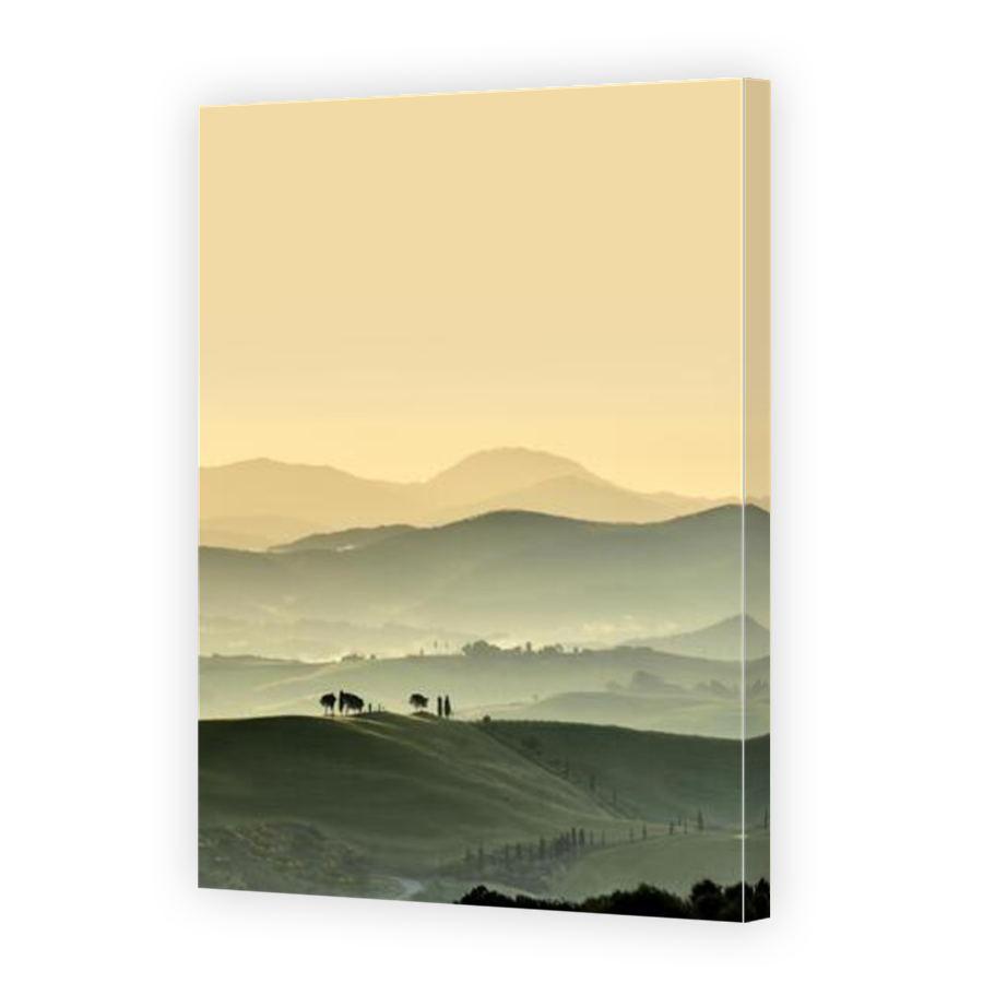 Thumbnail for Canvas - Mirror Image Canvas Wrap