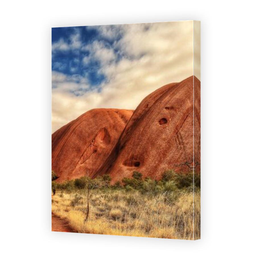 Thumbnail for Canvas - Mirror Image Canvas Wrap