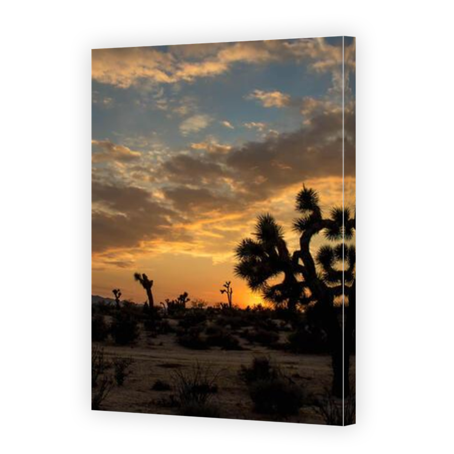 Thumbnail for Canvas - Mirror Image Canvas Wrap
