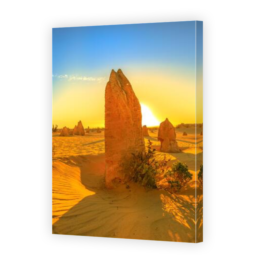 Thumbnail for Canvas - Mirror Image Canvas Wrap
