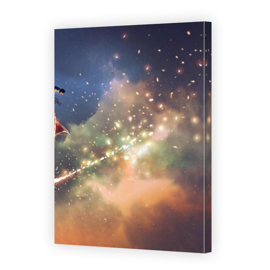 Thumbnail for Canvas - Mirror Image Canvas Wrap