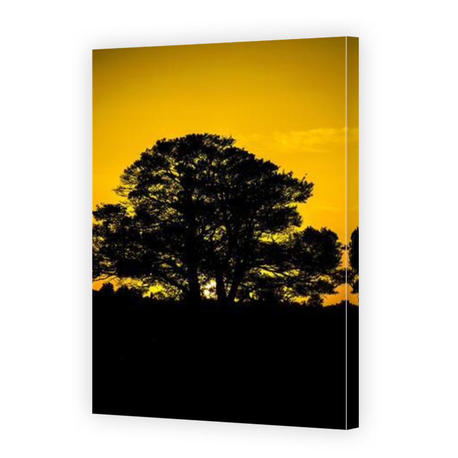 Thumbnail for Canvas - Mirror Image Canvas Wrap