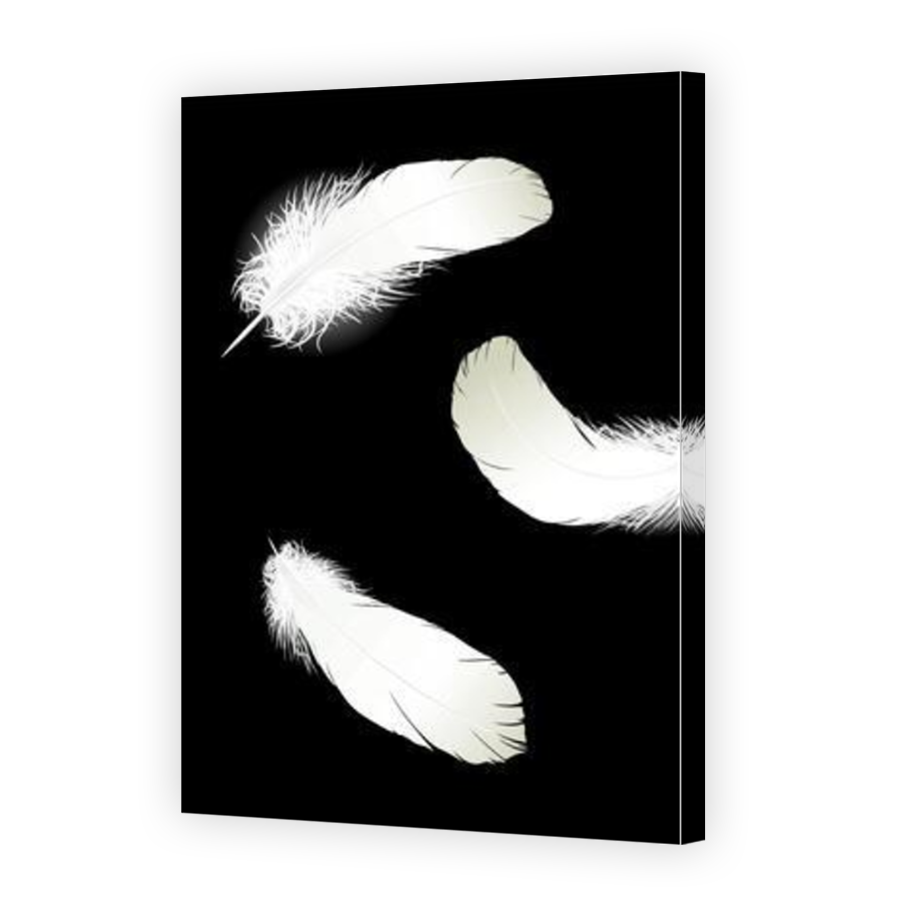 Thumbnail for Canvas - Mirror Image Canvas Wrap