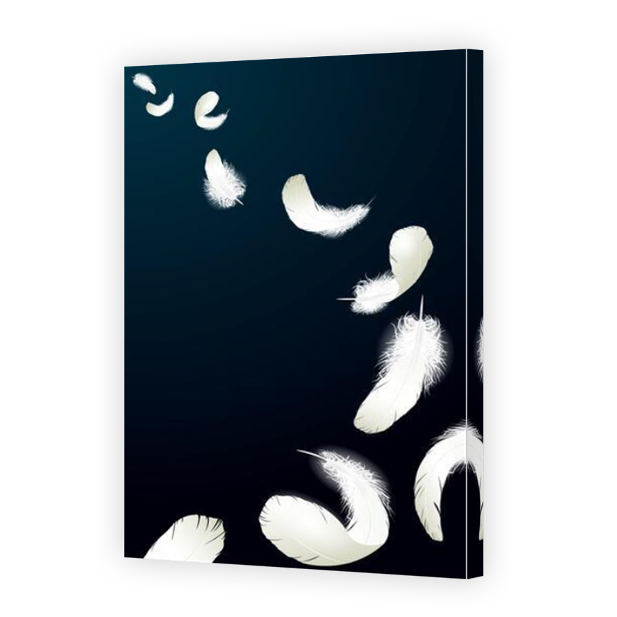 Thumbnail for Canvas - Mirror Image Canvas Wrap