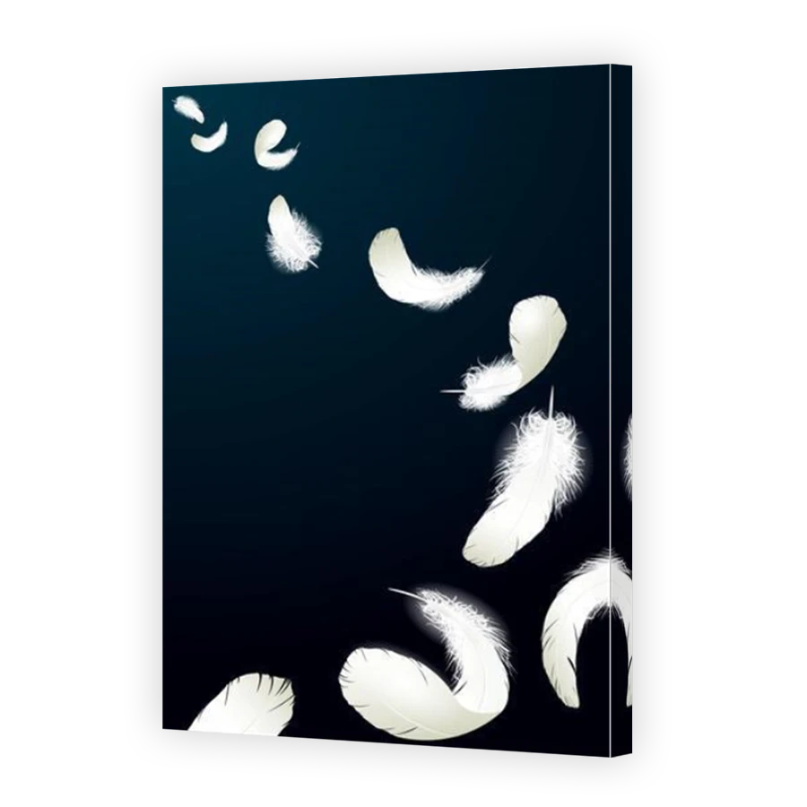 Thumbnail for Canvas - Mirror Image Canvas Wrap