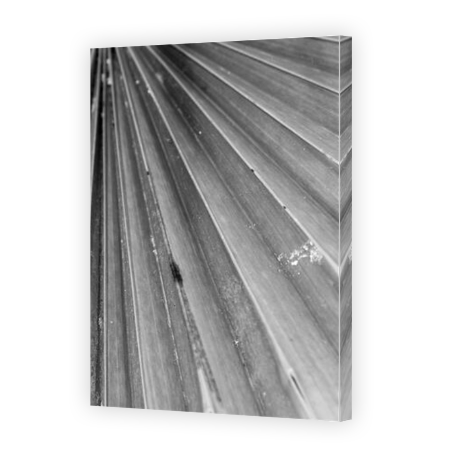 Thumbnail for Canvas - Mirror Image Canvas Wrap