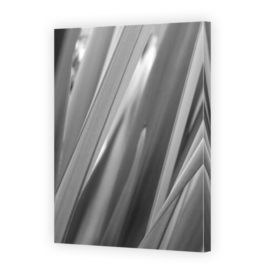 Thumbnail for Canvas - Mirror Image Canvas Wrap