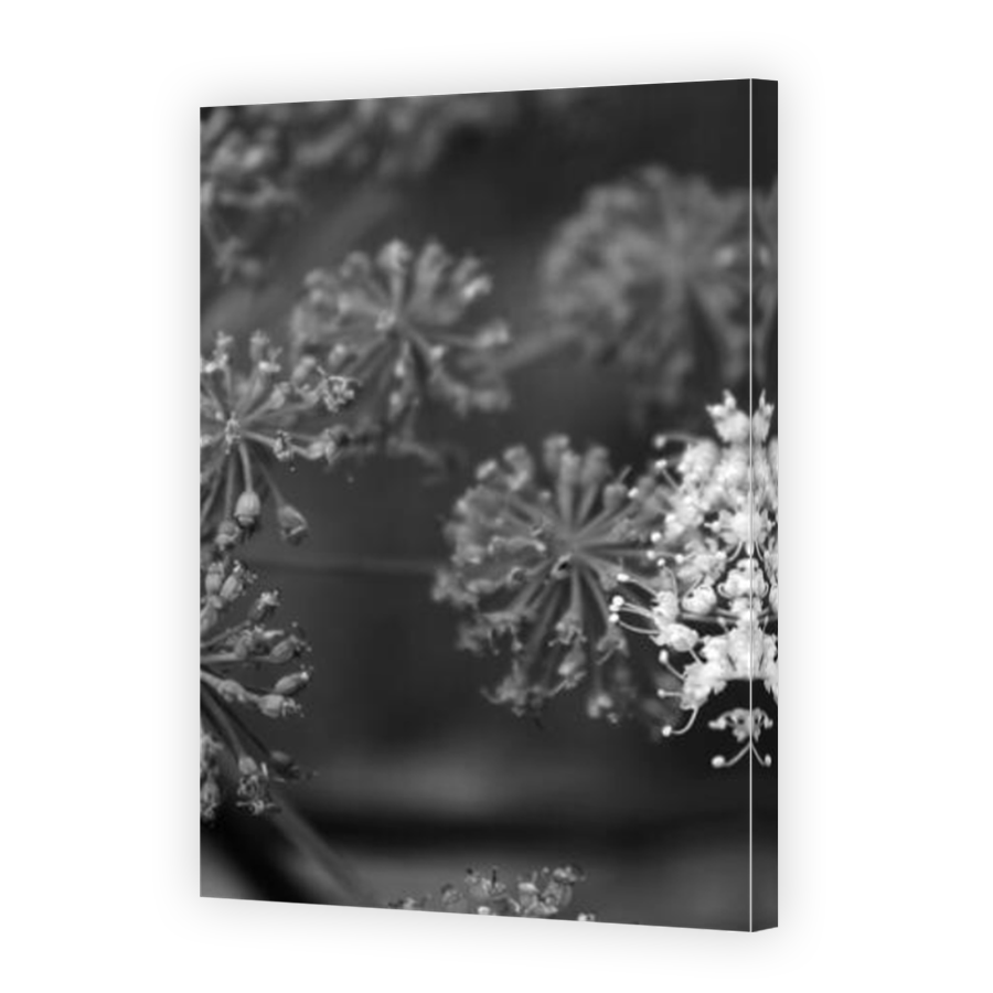 Thumbnail for Canvas - Mirror Image Canvas Wrap