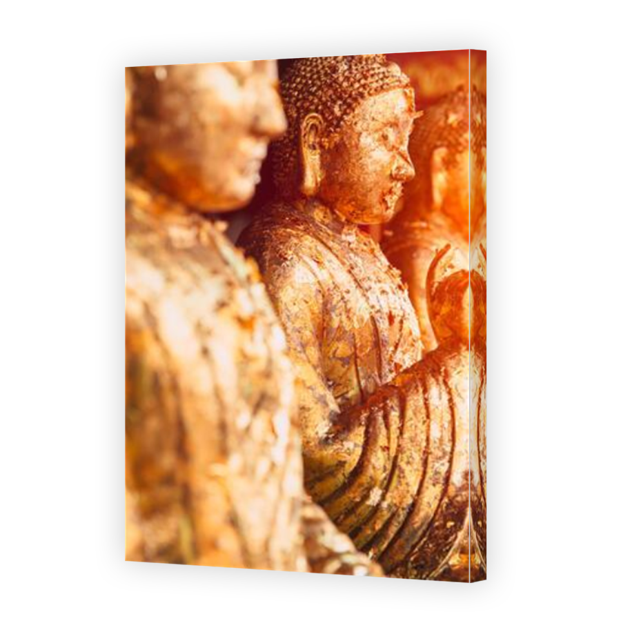Thumbnail for Canvas - Mirror Image Canvas Wrap