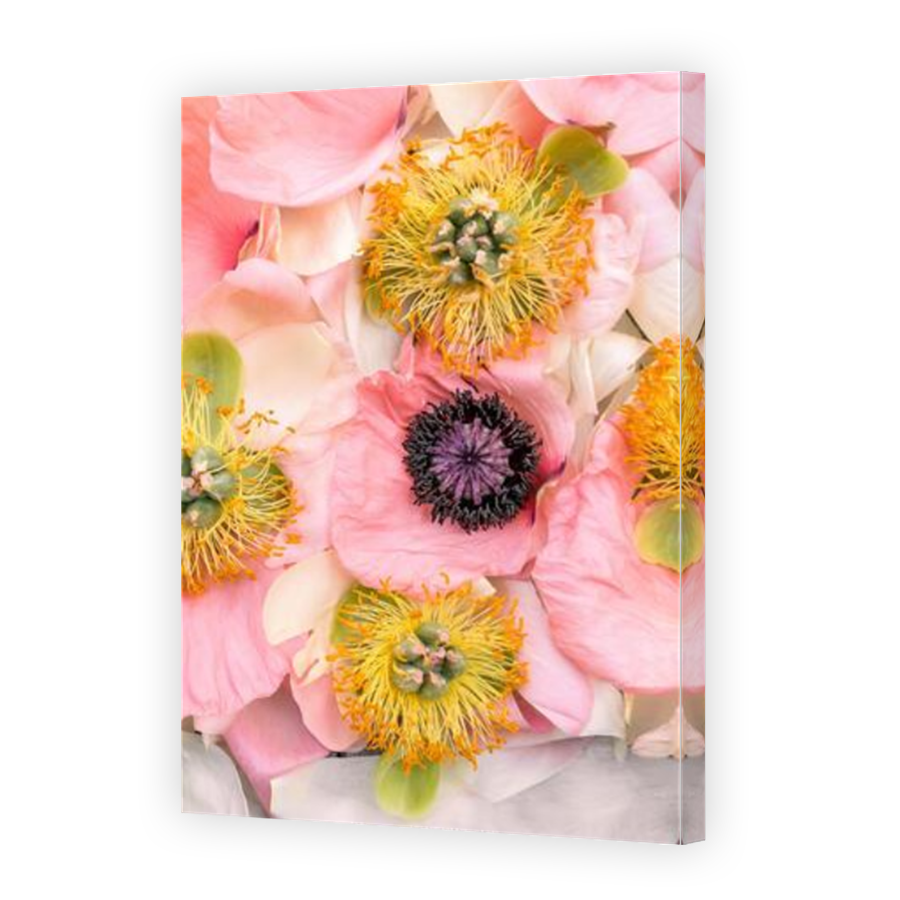 Thumbnail for Canvas - Mirror Image Canvas Wrap