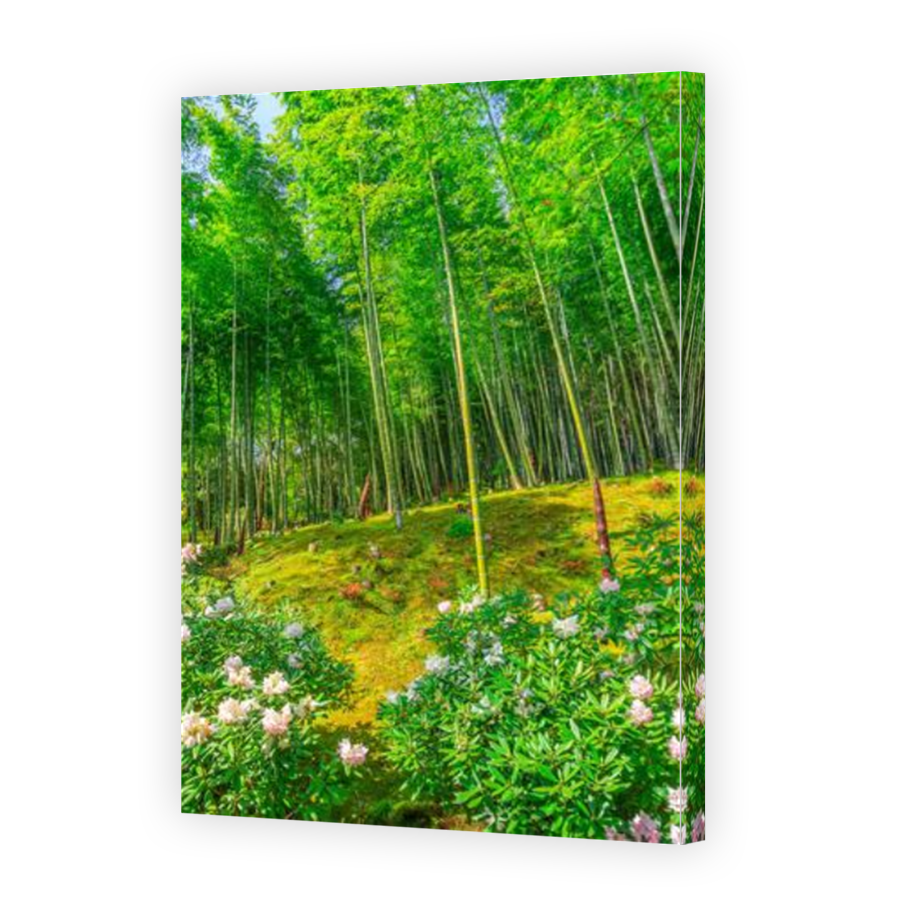 Thumbnail for Canvas - Mirror Image Canvas Wrap