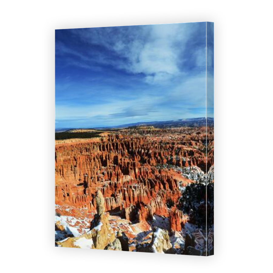 Thumbnail for Canvas - Mirror Image Canvas Wrap