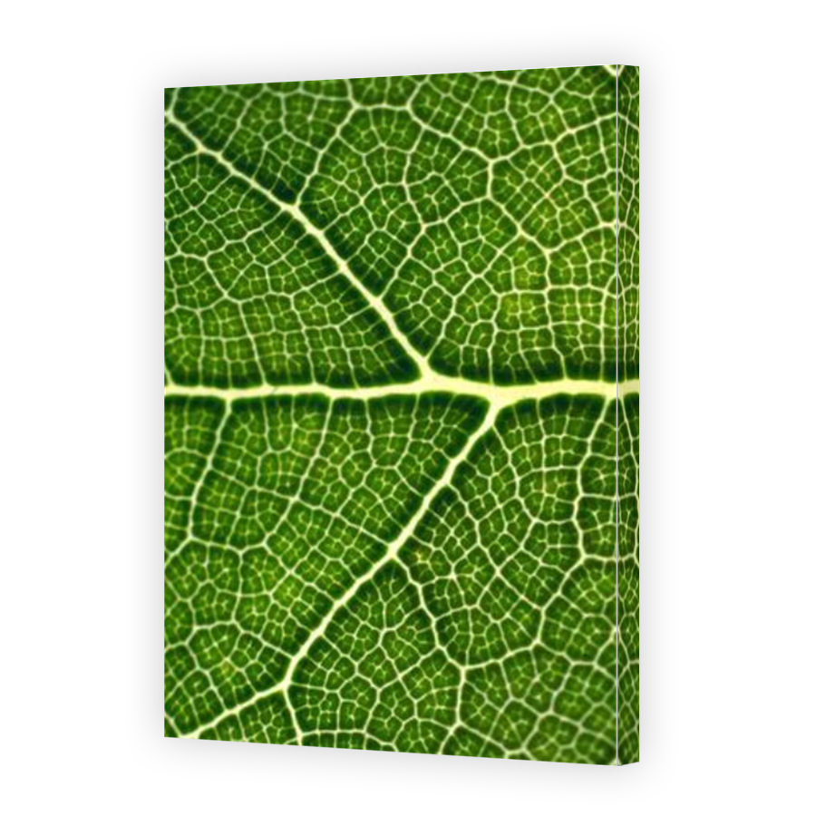 Thumbnail for Canvas - Mirror Image Canvas Wrap