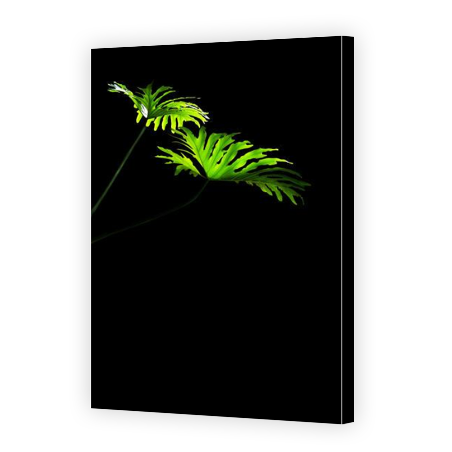 Thumbnail for Canvas - Mirror Image Canvas Wrap