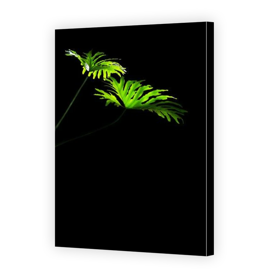Thumbnail for Canvas - Mirror Image Canvas Wrap