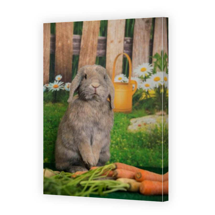 Thumbnail for Canvas - Mirror Image Canvas Wrap