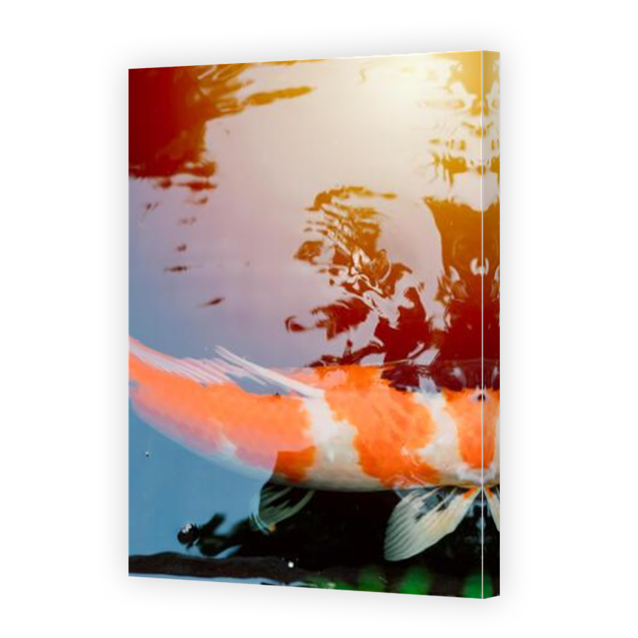 Thumbnail for Canvas - Mirror Image Canvas Wrap