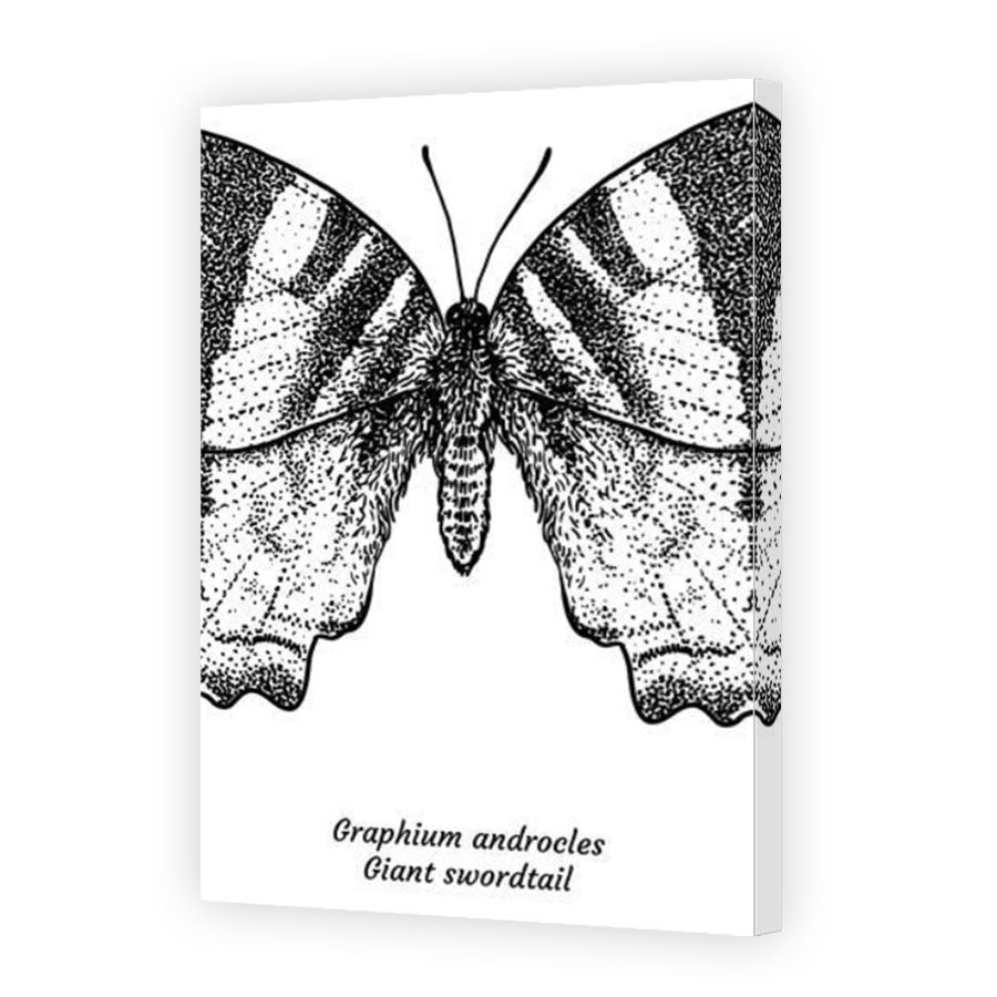 Thumbnail for Canvas - Mirror Image Canvas Wrap