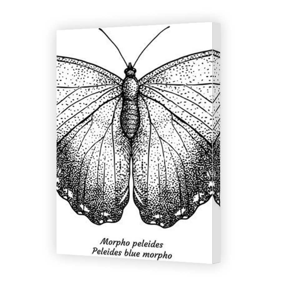 Thumbnail for Canvas - Mirror Image Canvas Wrap