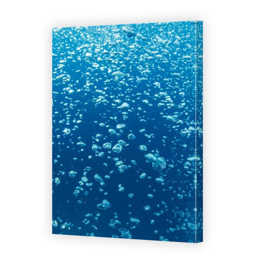 Thumbnail for Canvas - Mirror Image Canvas Wrap