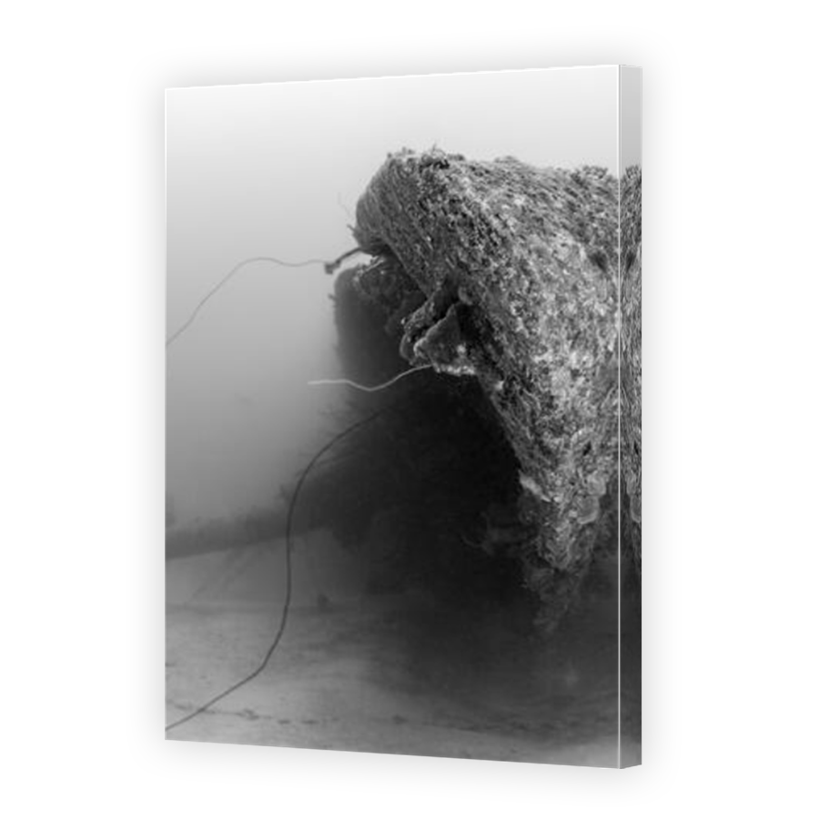 Thumbnail for Canvas - Mirror Image Canvas Wrap