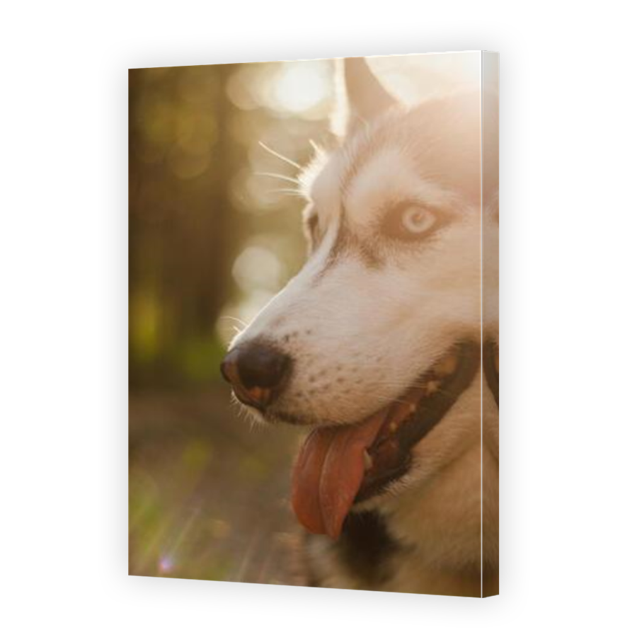 Thumbnail for Canvas - Mirror Image Canvas Wrap