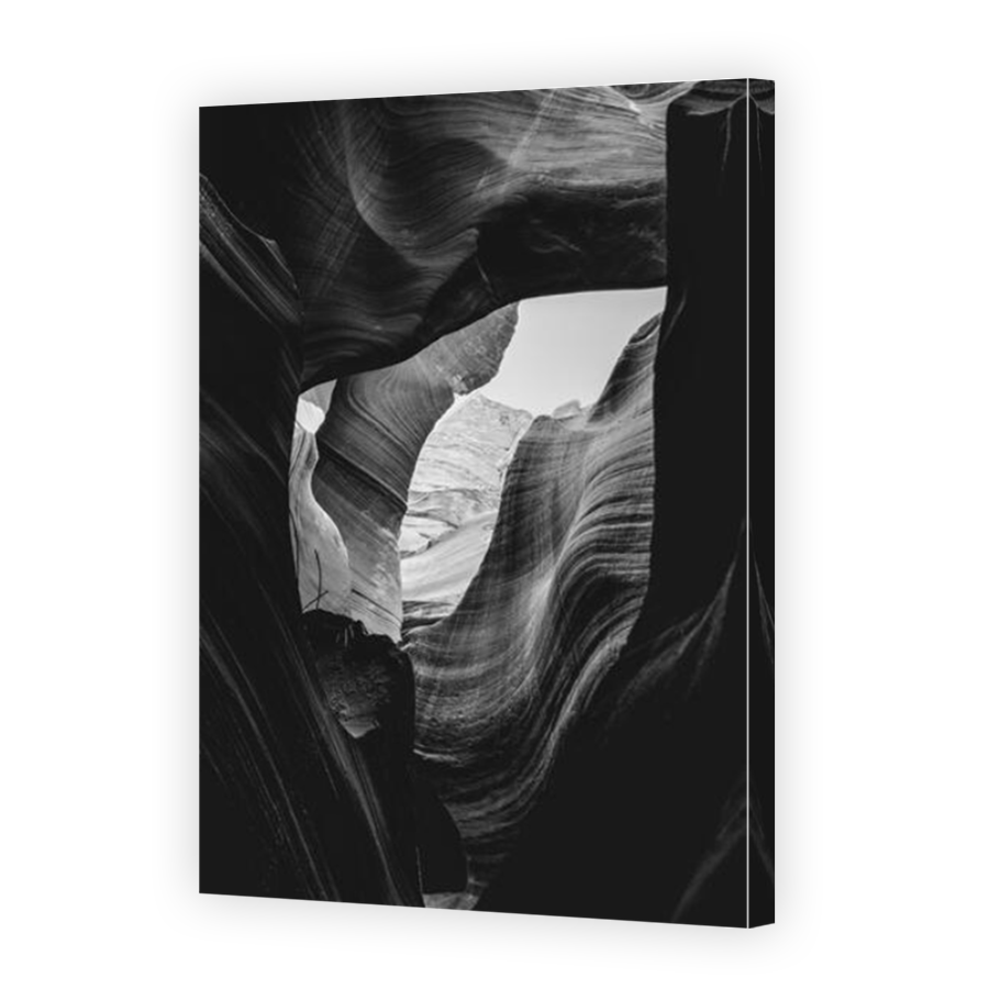 Thumbnail for Canvas - Mirror Image Canvas Wrap