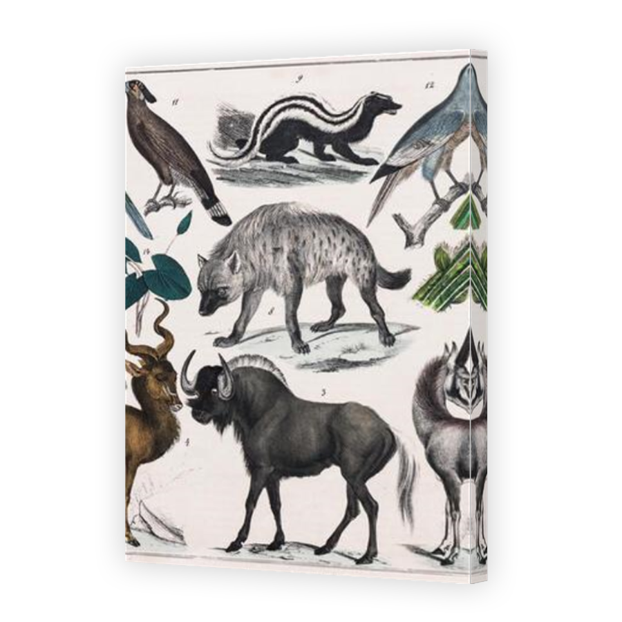 Thumbnail for Canvas - Mirror Image Canvas Wrap