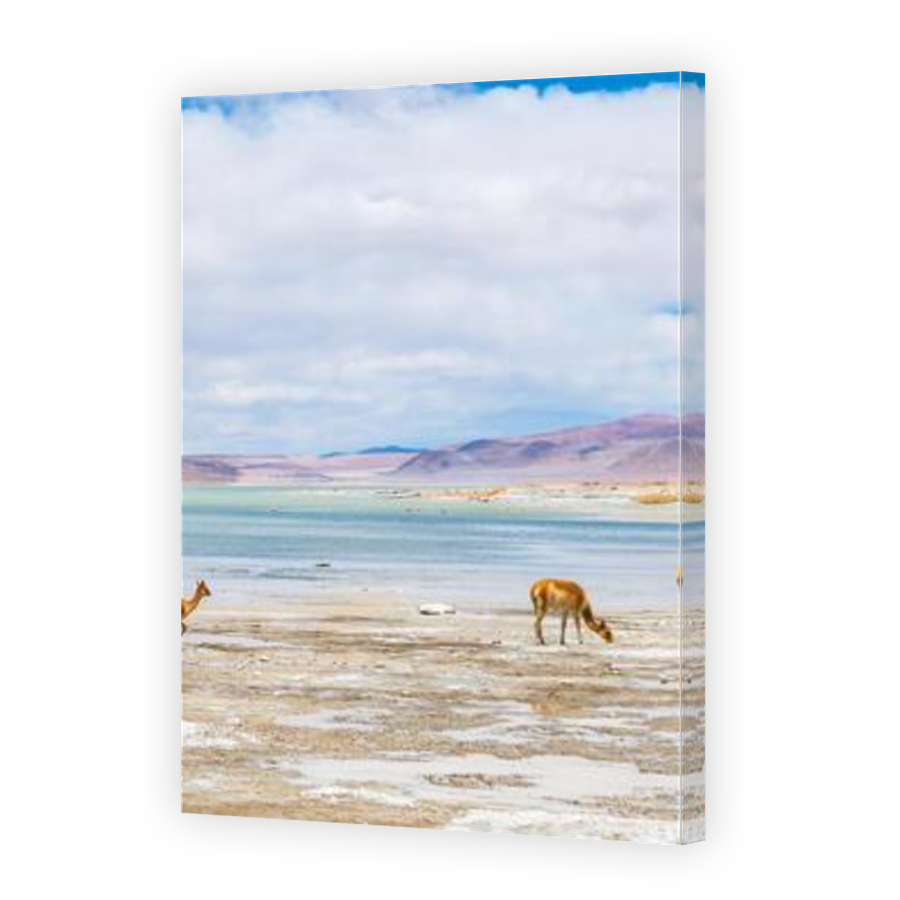 Thumbnail for Canvas - Mirror Image Canvas Wrap