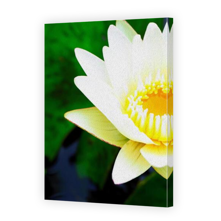 Thumbnail for Canvas - Mirror Image Canvas Wrap