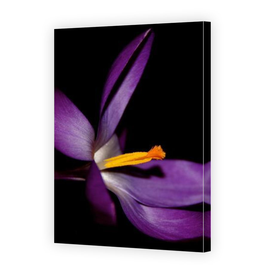Thumbnail for Canvas - Mirror Image Canvas Wrap