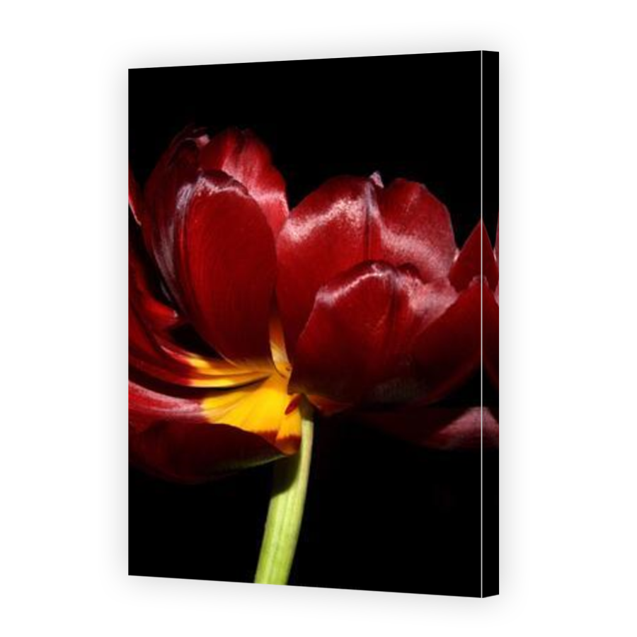 Thumbnail for Canvas - Mirror Image Canvas Wrap