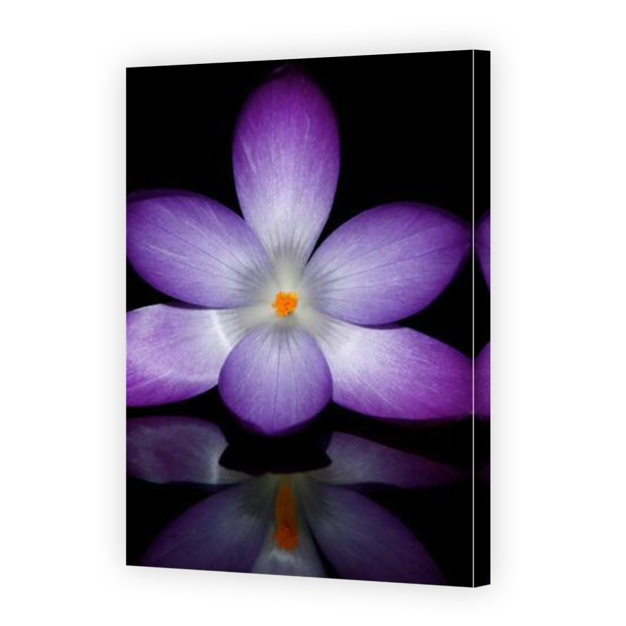 Thumbnail for Canvas - Mirror Image Canvas Wrap