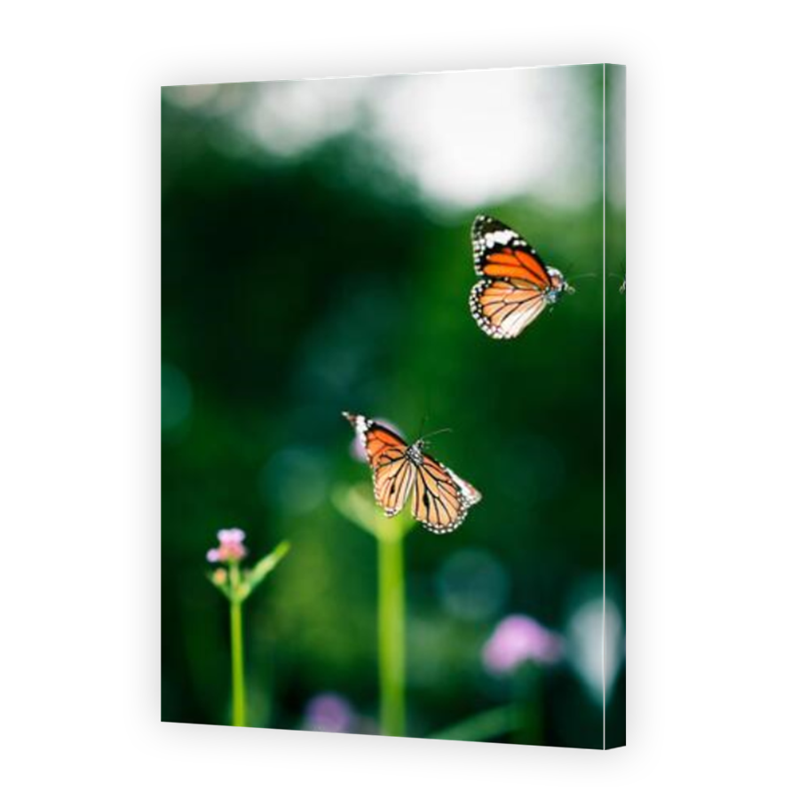 Thumbnail for Canvas - Mirror Image Canvas Wrap