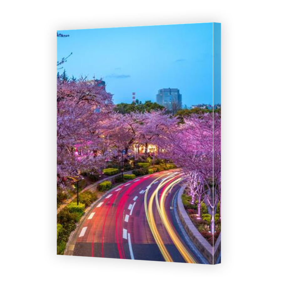 Thumbnail for Canvas - Mirror Image Canvas Wrap