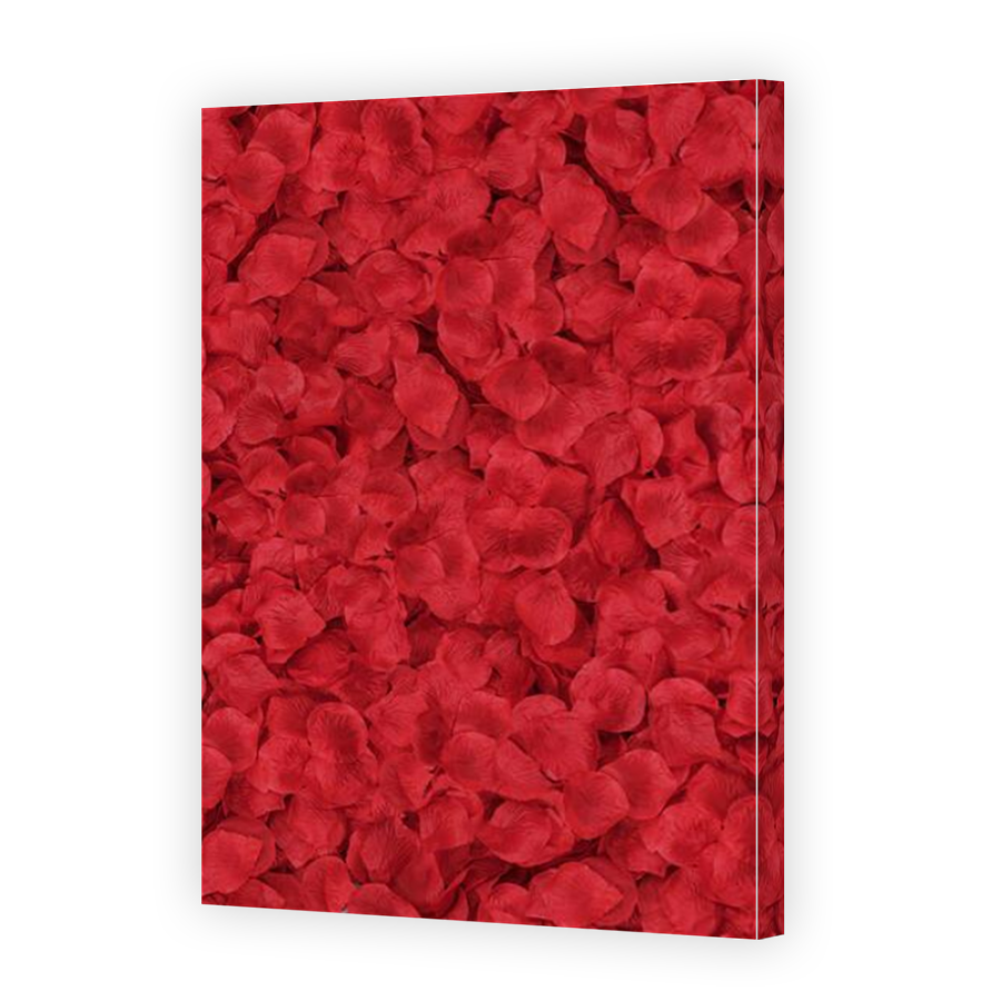 Thumbnail for Canvas - Mirror Image Canvas Wrap