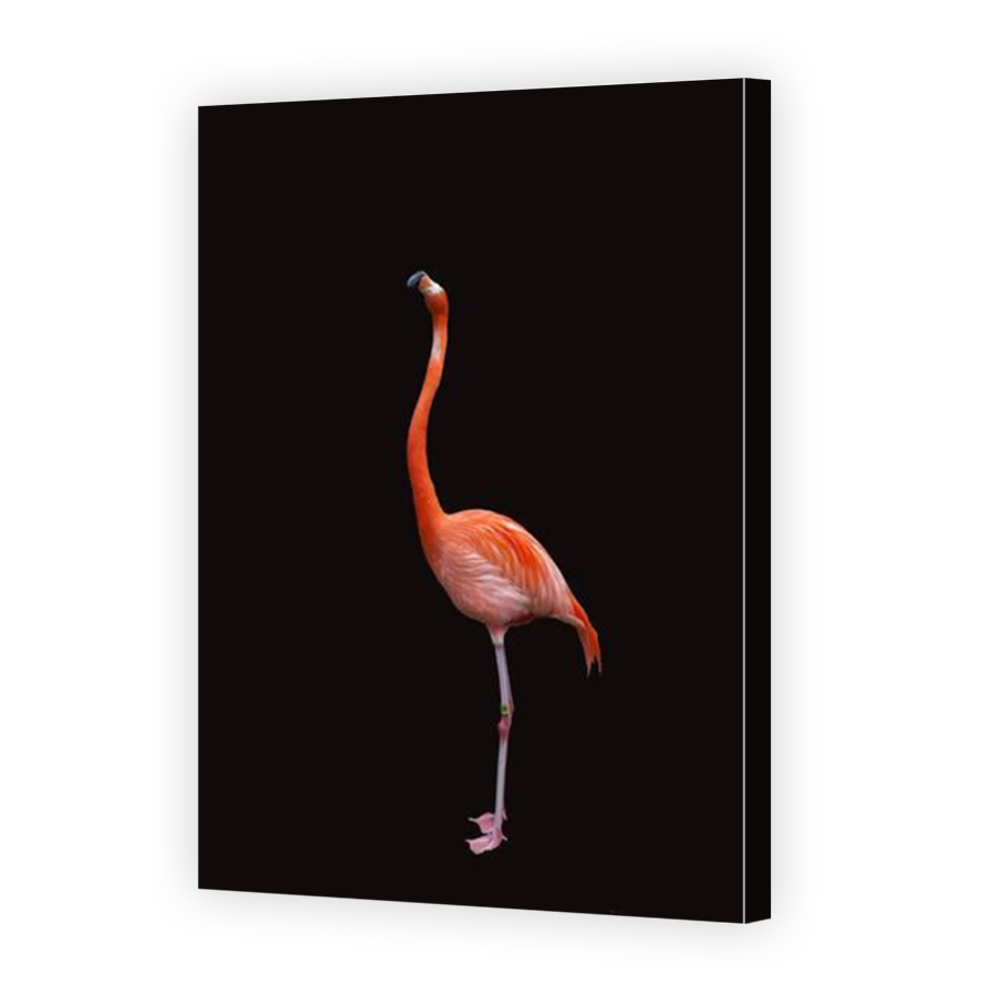 Thumbnail for Canvas - Mirror Image Canvas Wrap