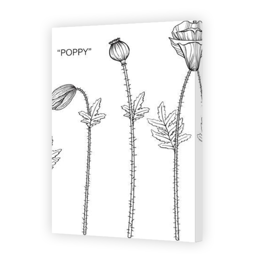 Thumbnail for Canvas - Mirror Image Canvas Wrap
