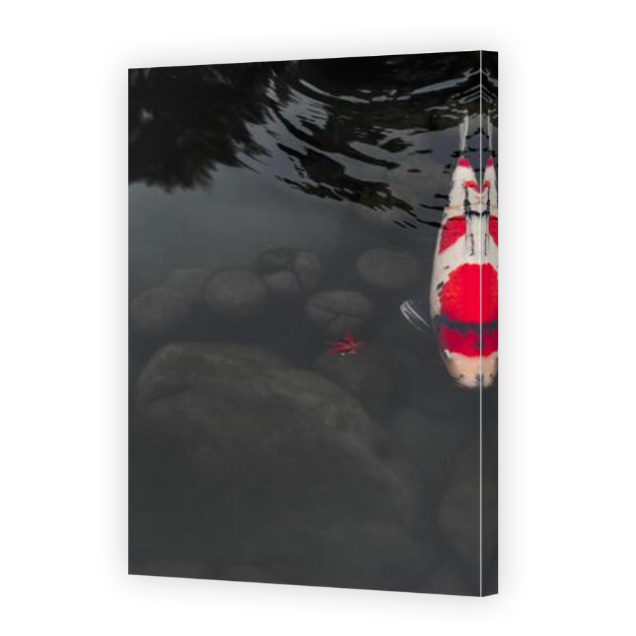 Thumbnail for Canvas - Mirror Image Canvas Wrap