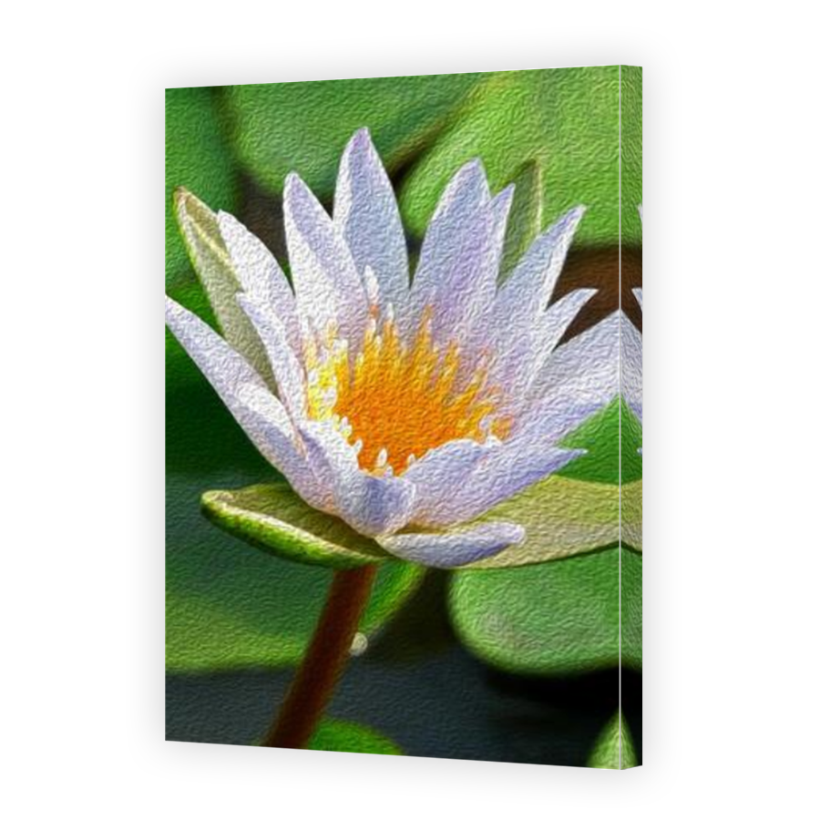 Thumbnail for Canvas - Mirror Image Canvas Wrap