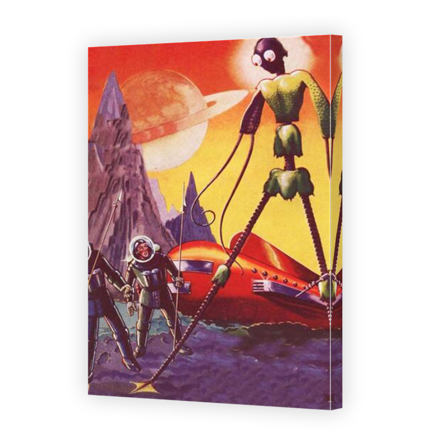 Thumbnail for Canvas - Mirror Image Canvas Wrap