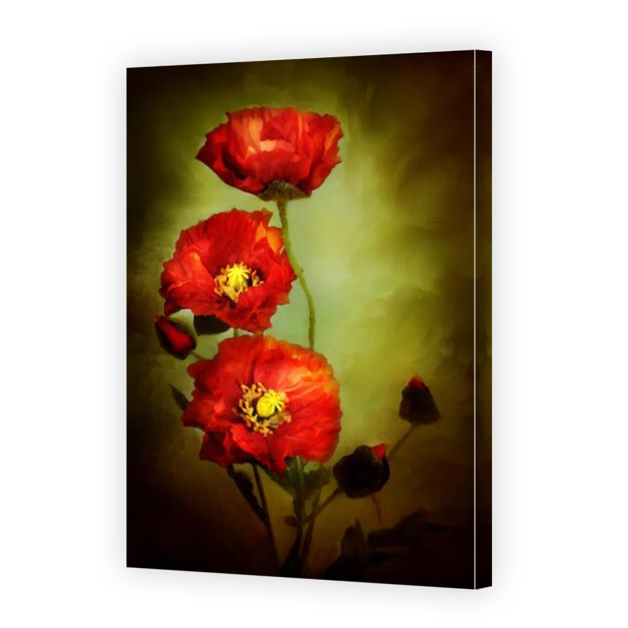 Thumbnail for Canvas - Mirror Image Canvas Wrap