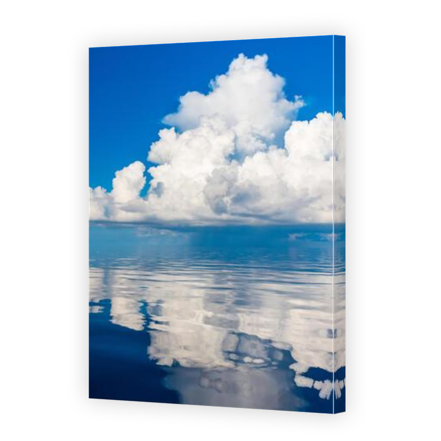 Thumbnail for Canvas - Mirror Image Canvas Wrap